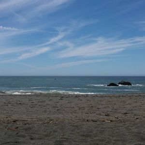 Meet your Posher, Allie